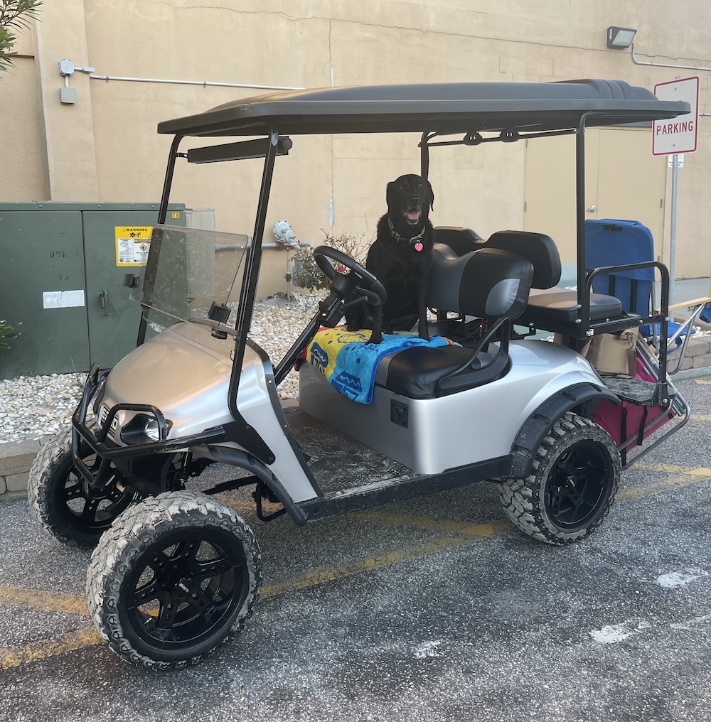 golfcart2